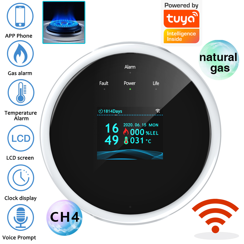 2.4G WiFi Gas Alarm Sensor Com - Home Security Monitor incelemesi ve fiyatı